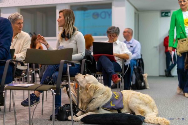 FYDO Conference web (1)