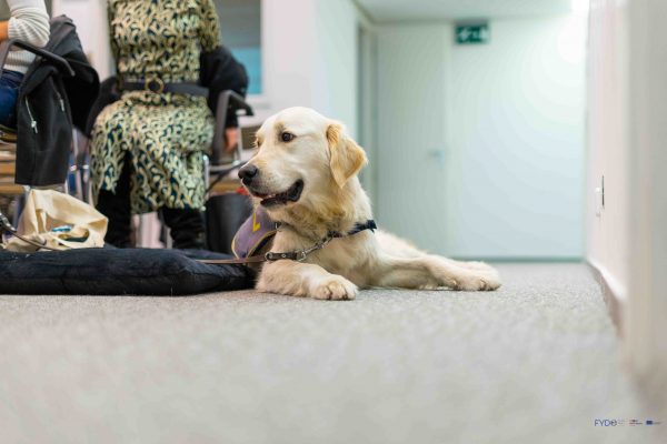 FYDO Conference web (138)