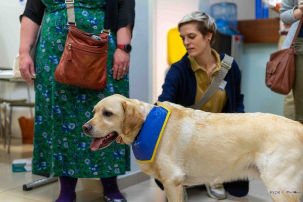 FYDO Conference web (52)